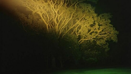 Dayanita Singh, Dream Villa 20, 2007 - 2008,
C-type print, 102 x 102 cm, Courtesy the artist and Frith Street Gallery, London
© the artist 2013