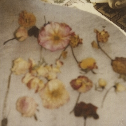 Cy Twombly, Light Flowers V (Gaeta), 2008, Color dry-print, Edition 3/6, 17 x 11 inches
43.2 x 27.9 cm © Nicola Del Roscio Foundation. Courtesy of the artist and Gagosian.