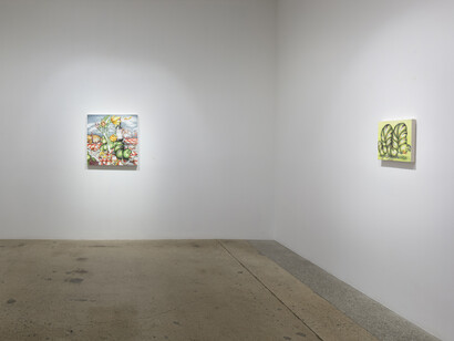 Samantha Rosenwald, Schadenfreude. Installation view. Courtesy of Steve Turner