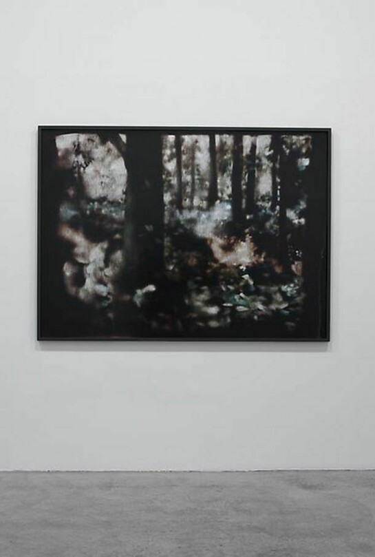 Matt Saunders, Woods (Kuhle Wampe) #1, 2014, C-Print On Kodak Endura Premier Matte Paper, print: 121,5 x 169,3 cm, frame: 125,5 x 173,3 cm