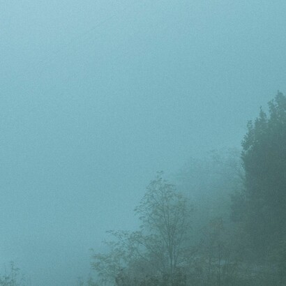 Vericuetos de la memoria