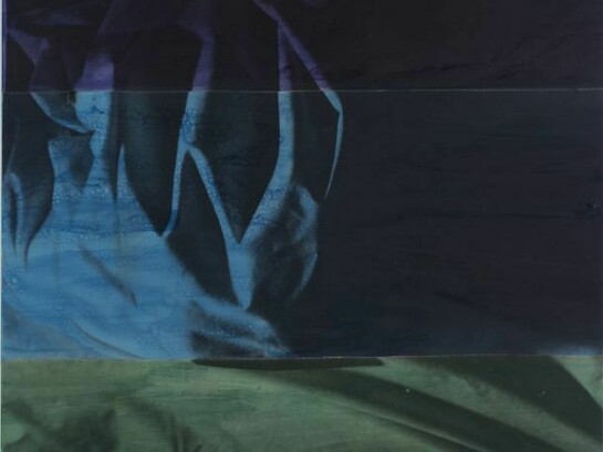 David Salle, Ghost 13, 1992, Ink on photosensitized linen, 85 x 75 inches, 215.9 x 190.5 cm