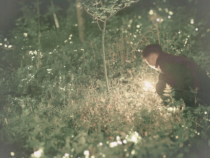 A man sits gazing at the fireflies that surround him in the forest