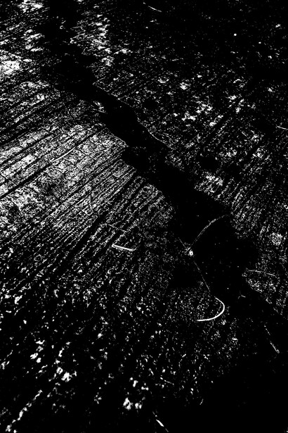 «Hay una grieta en todo, así es como la luz entra» (Leonard Cohen)