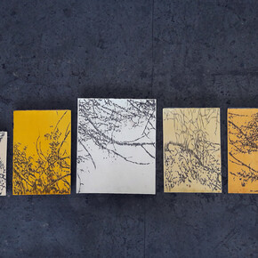 The specific shape of dream : François Réau. Courtesy the artist and Laure Roynette Gallery