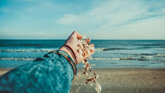 Conchiglie. Il mare come metafora della verità: una storia di introspezione e rivelazioni