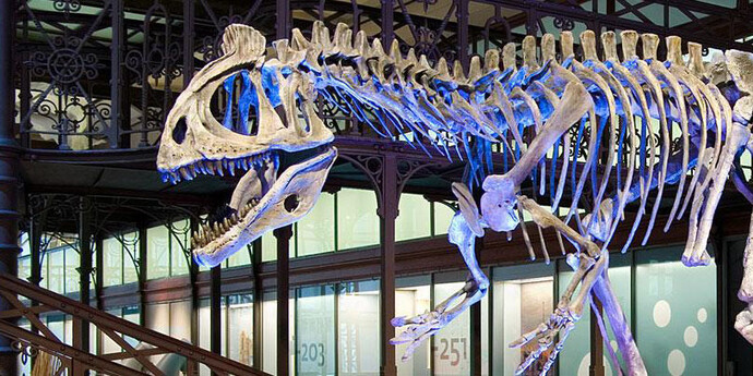 Galerie des Dinosaures. Courtesy of Royal Belgian Institute of Natural Sciences