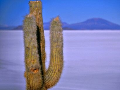Salar de Uyuni, Bolivia – Le montagne che segnano il confine cileno visti dall’Isla del Pescado, irta con i caratteristici cactus. Ph Sergio Pessolano