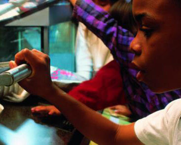 World of Life. Courtesy of California Science Center