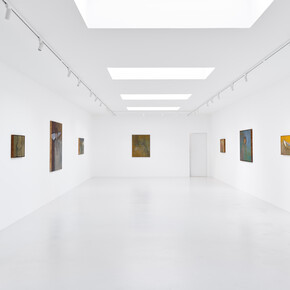 Tenki Hiramatsu, Hira Hira, exhibition view. Courtesy of Super Dakota