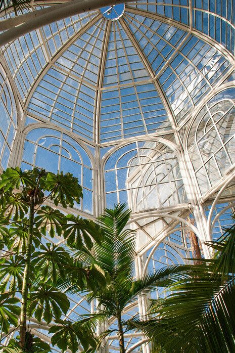 Descubra o charme das praças de Curitiba, como Praça do Japão e Praça Carlos Gomes, ideais para encontros intimistas