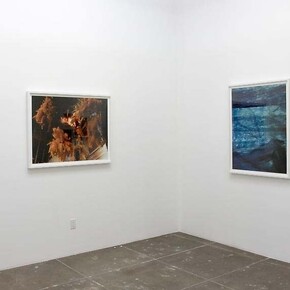 Stephanie Washburn. Courtesy of Mark Moore Fine Art