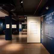 A treasury of life. Indian company paintings c. 1790-1835, exhibition view. Courtesy of DAG