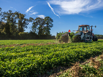 Sostenibilità e ambiente: la crescente consapevolezza ambientale ha portato gli agricoltori a richiedere politiche che promuovano la sostenibilità agricola