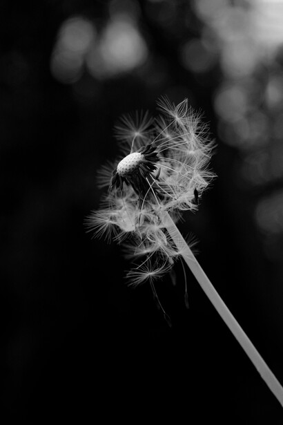 No se ha de sentir el peso de las lastimaduras si te concentras en esquivar las piedras del camino para evitar el tropiezo