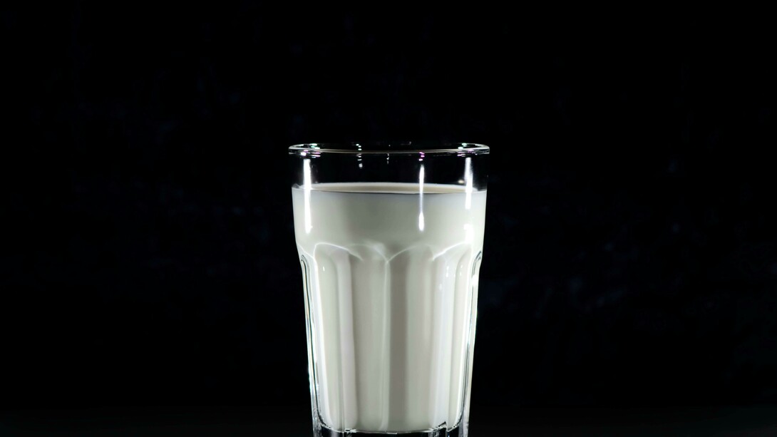 O leite é um alimento nutritivo, rico em proteínas, lipídios, vitaminas e minerais