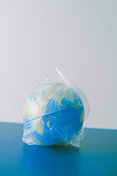 Sociedades avançadas devem priorizar a sustentabilidade