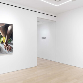 Amanda Wall, Sky got dark, exhibition view. Courtesy of Almine Rech Gallery