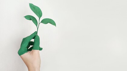 Mão pintada de verde se camufla com um galho de folha