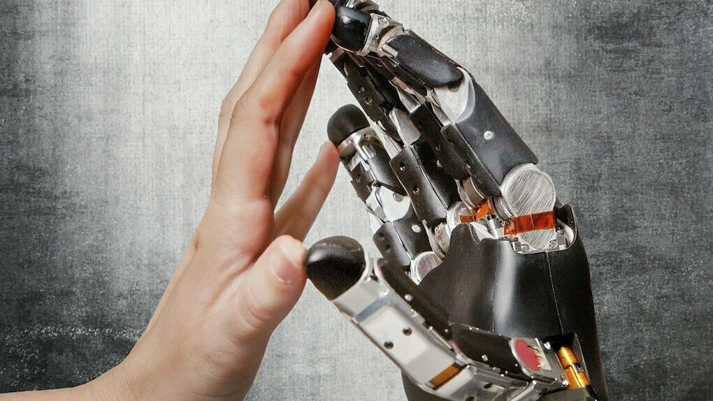 Una mano humana y una biónica