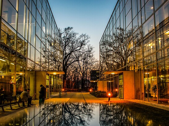 An open office precinct where lighting and visibility reinforce security, presenting the relationship between design and crime prevention