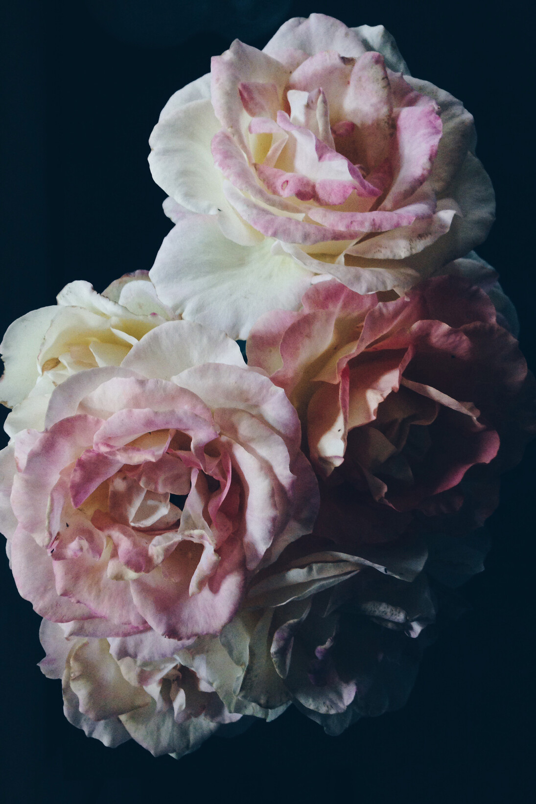 Clinton Hayden, Untitled (2015), Archival inkjet print on hahnemule, 60 x 80 cm