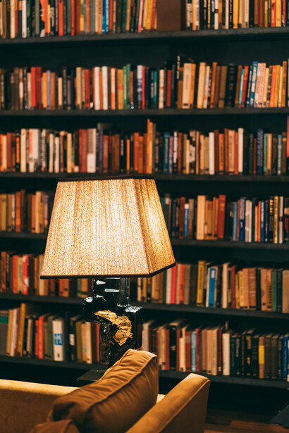         Voegelin apresenta uma visão original da história, explorando a desconexão entre razão e sentimento no processo civilizatório