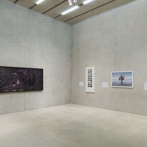 Various artists, Narratives in focus: Selections from PAMM’s collection, exhibition view. Courtesy of Pérez Art Museum Miami 