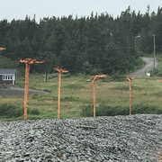 In Residence. Courtesy of AGH