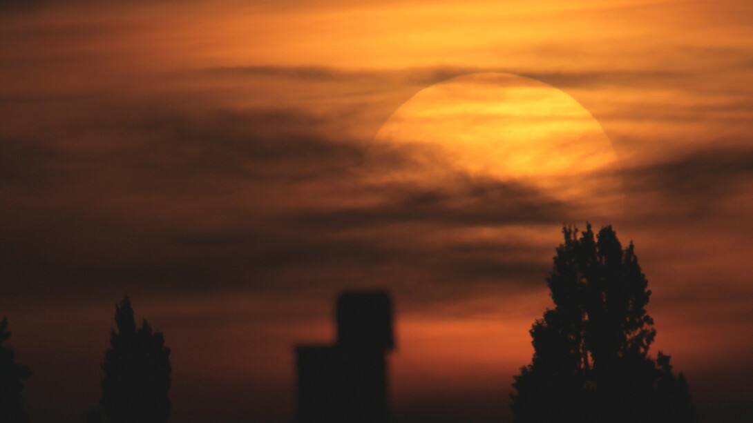 Dryden Goodwin, Setting Sun © Dryden Goodwin