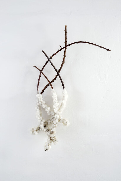 Francesca Romana Pinzari, Natura Naturans Bianco n2, 2017, rami di rovo e cristalli di solfato di potassio. Ph Andrea Veneri