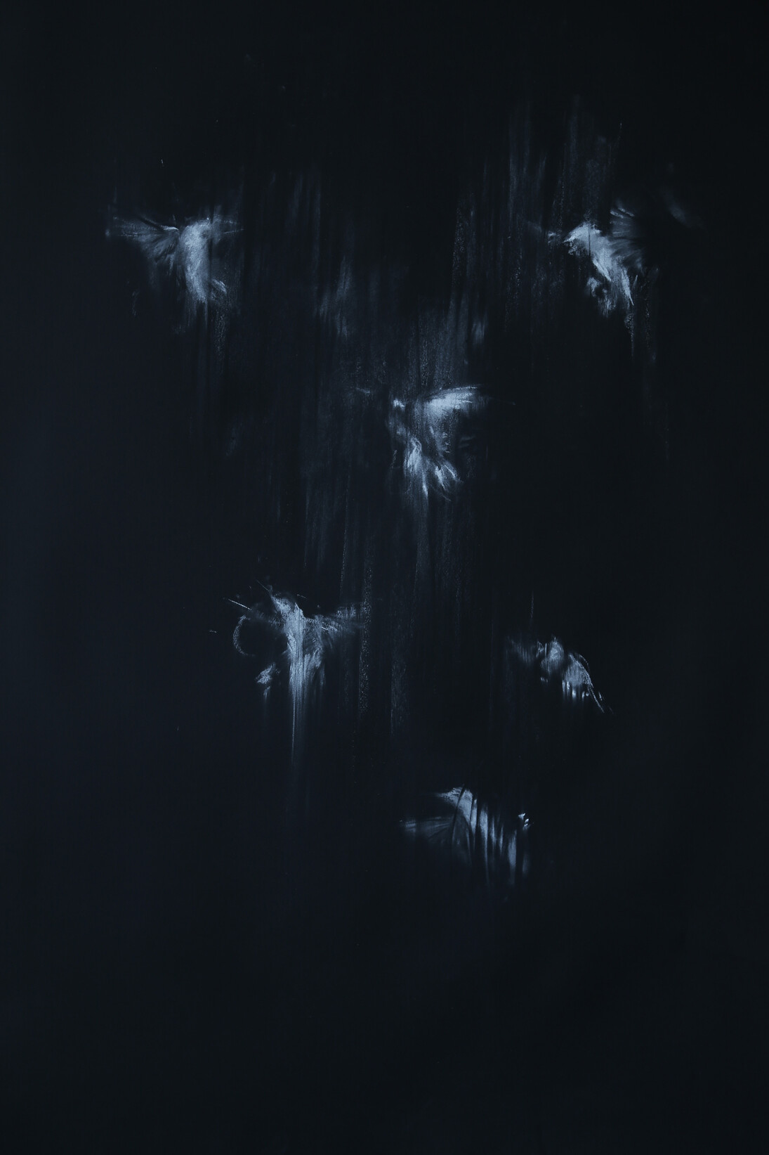 Jake Wood-Evans, Glimmer