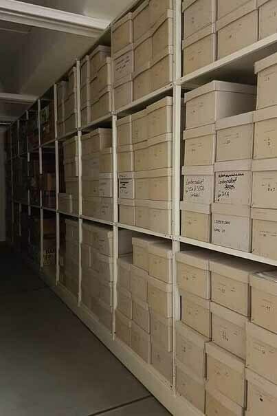 The Dead, as far as [ ] can remember. Courtesy of Tieranatomisches Theater