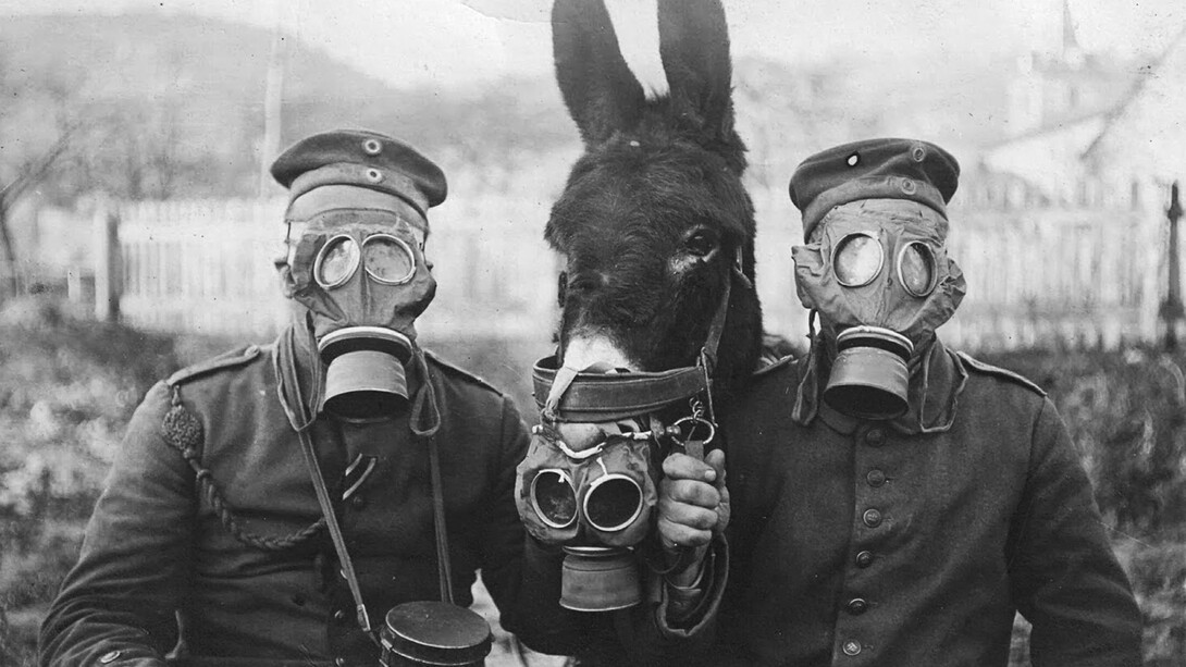 Ginestra Sabina ricorda la prima guerra mondiale e i suoi caduti, Casa della Memoria e della Storia