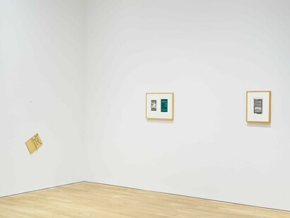 Steve Wolfe, The Brutality of Fact, exhibition view. Courtesy of Luhring Augustine Gallery