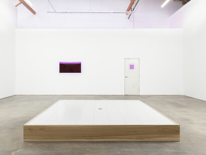 Candice Lin. Courtesy of François Ghebaly Gallery