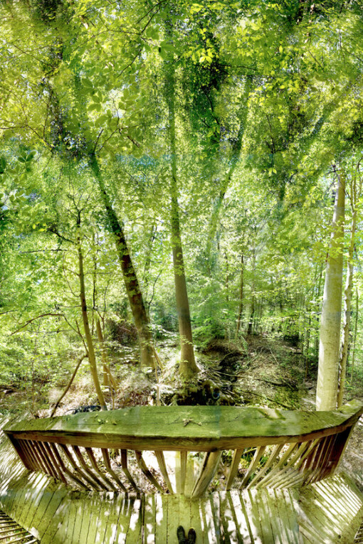 Multiverse. Courtesy of George Lawson Gallery