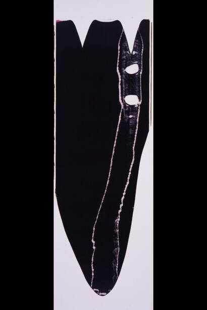 Ellen Carey. Courtesy of Galerie Miranda