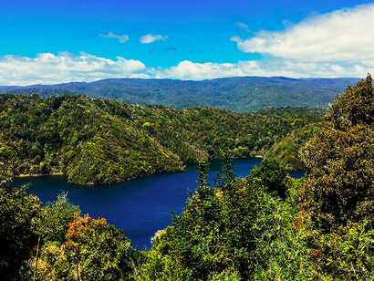 Reserva costera de Valdivia