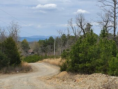 A road on the property of Board Camp Crystal Mine in Arkansas, USA