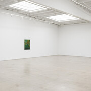 Randy Wray, Hothouse, exhibition view. Courtesy of Karma Gallery
