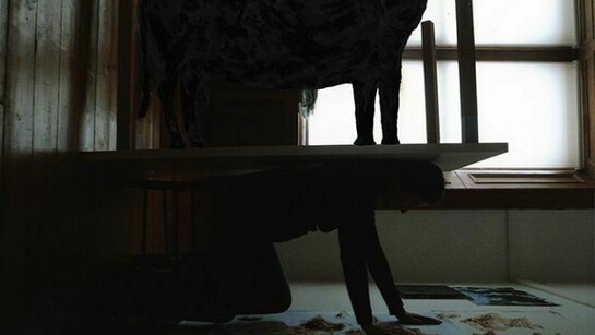 Louise Hopkins, Bull-Table Painting [2013] ink on photograph, 20.2 x 25.5 cm