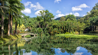 O Jardim Botânico conversa com todas as obras e galerias repletas no Instituto Inhotim