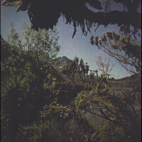 Darren Almond. Courtesy of Crown Point Press