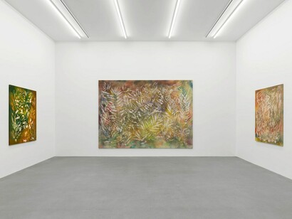 Sam Falls, exhibition view. Courtesy of Galerie Eva Presenhuber
