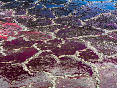 Diane Tuft, Edon (detail), 2024. Courtesy of Leila Heller Gallery
