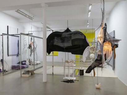 David Douard. Courtesy of Galerie Chantal Crousel