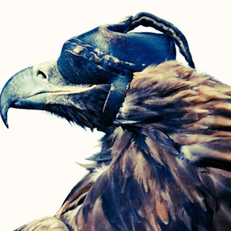 Lyle Owerko, Eagle Hunter 1, 2015. Courtesy of Joseph Gross Gallery