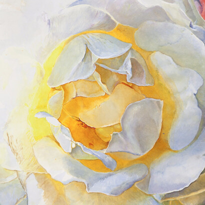 Joseph Raffael. Courtesy of Nancy Hoffman Gallery