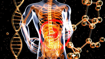 L'asse cervello-intestino (CIA) svolge un ruolo fondamentale nella comprensione della sindrome dell'intestino irritabile (IBS), un disturbo gastrointestinale molto sgradevole e doloroso, che colpisce milioni di persone al mondo
